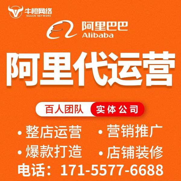 定州电商代运营
