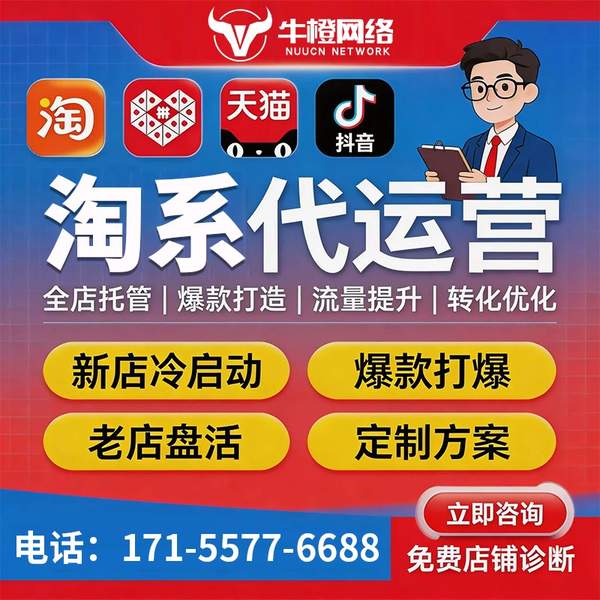 定州电商代运营