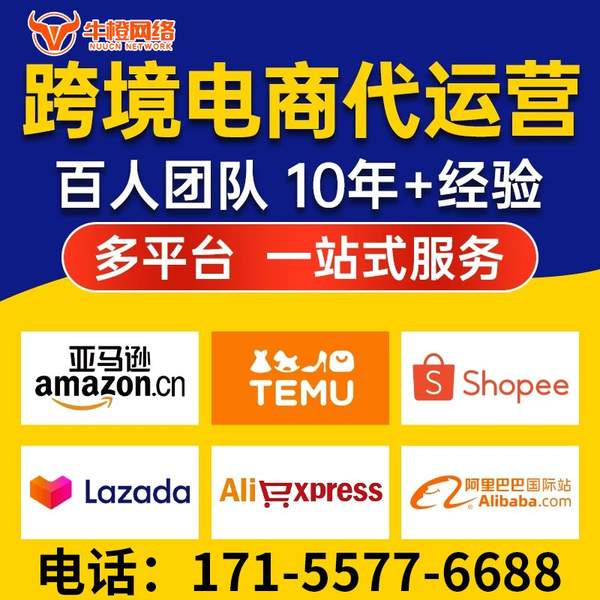 定州电商代运营