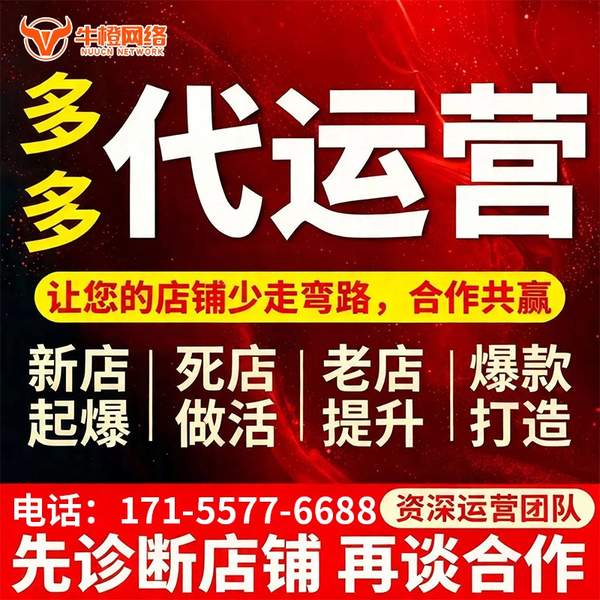 定州电商代运营