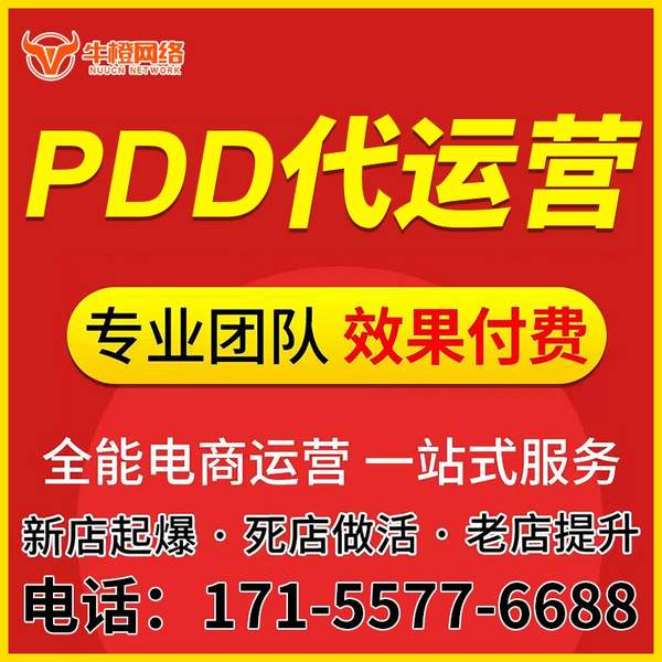 定州电商代运营