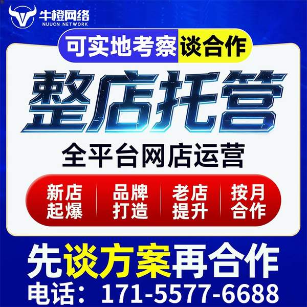 定州电商代运营