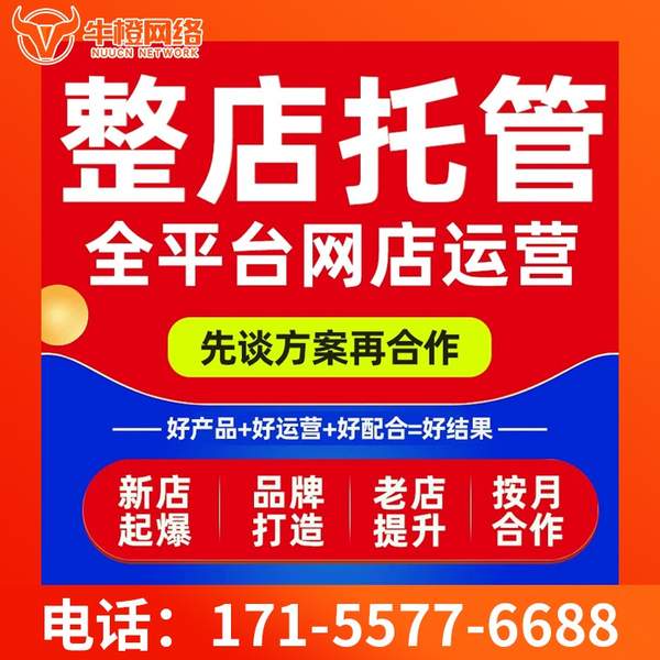 定州电商代运营