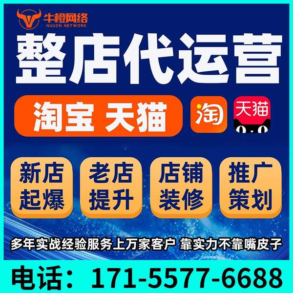 定州电商代运营