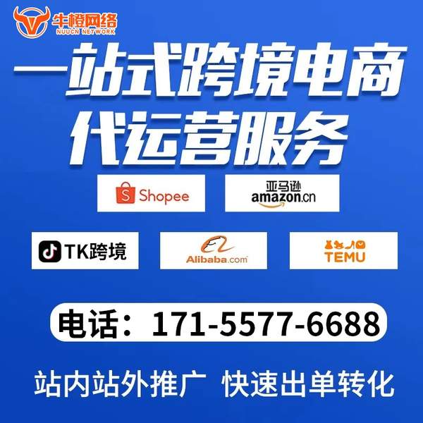定州电商代运营