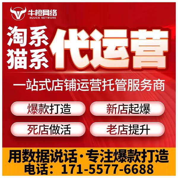 定州电商代运营